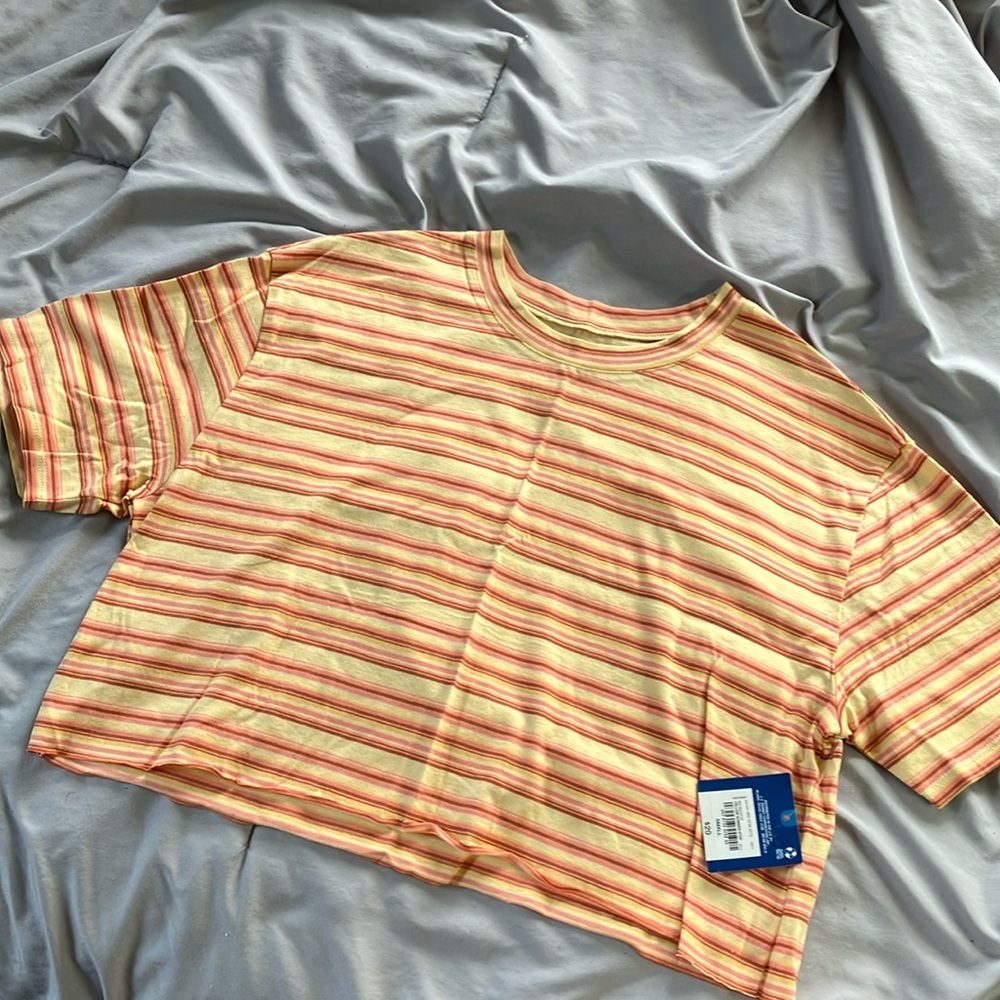 Striped Arizona Crop Top
